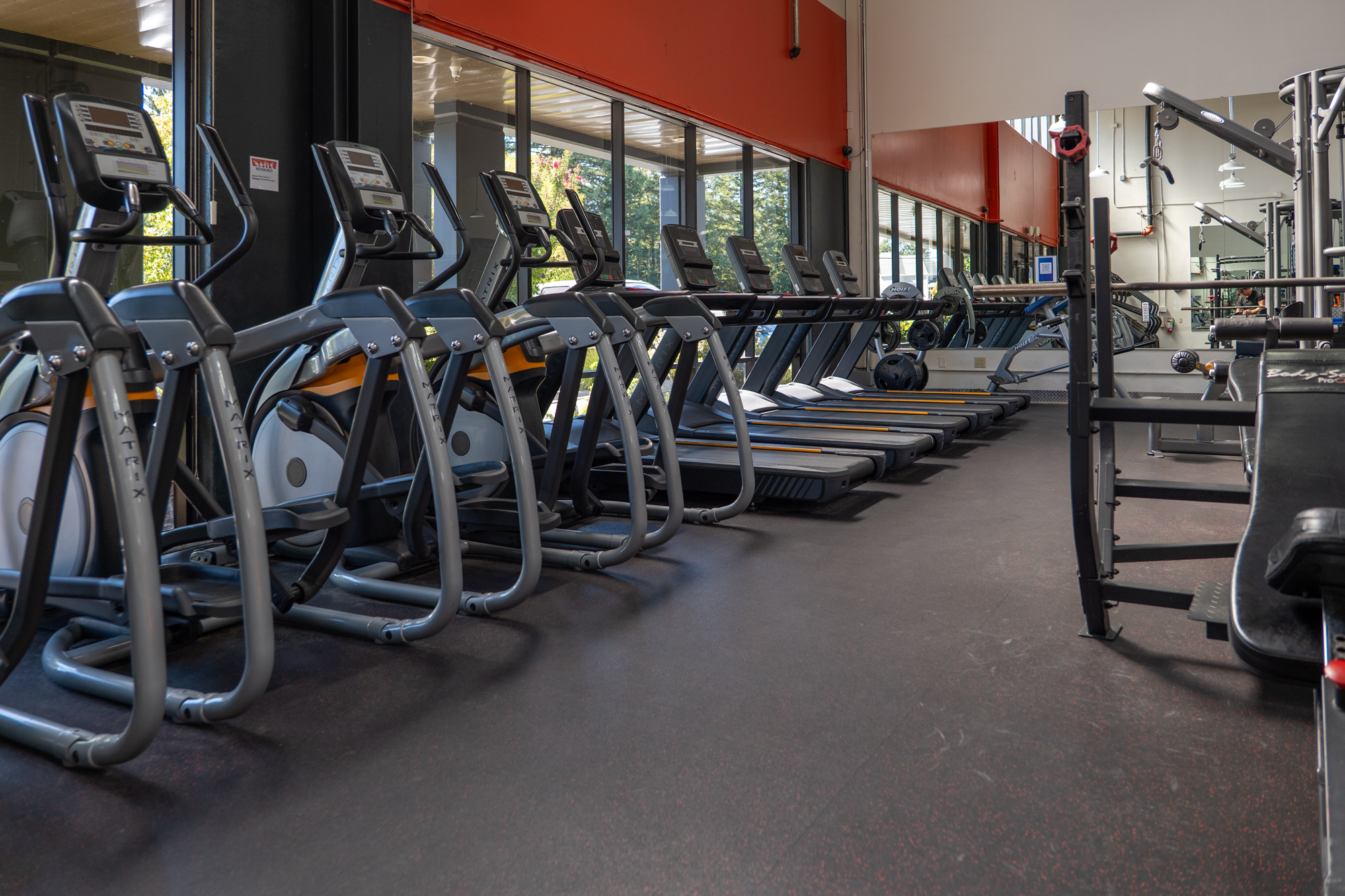 Motion Fitness Cardio Equipment